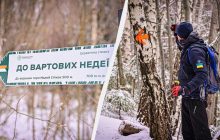 Від популярного гірськолижного курорту на Буковині проклали новий туристичний маршрут