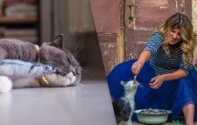 Полезно ли котам есть рыбу: ветеринар назвала важный нюанс в питании этих животных