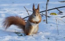 5 января в Киеве весь день будут морозы