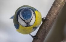 Аномальный холод уже пройден: в Украину мчится долгожданное потепление на 5-7 градусов