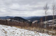 Спокойствие и красота: как в этом году выглядит зимняя Сходница (фоторепортаж, видео)