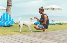 Недружелюбный жест: дрессировщица объяснила, почему не стоит давать обнюхивать руку собаке