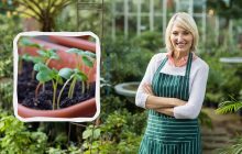 Які дні будуть найурожайнішими для посіву: посівний календар на березень 2025 року