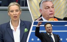 Маск и Орбан поздравили пророссийскую АдГ, несмотря на победу в Германии консерваторов
