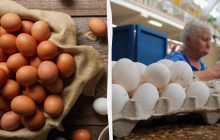 Учені пояснили, чи є різниця між білим і коричневим яйцем у користі для здоров'я