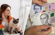 Часткова зайнятість в Україні: у яких сферах найбільше роботи та скільки платять