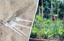 Нужно воткнуть этот предмет в землю на огороде: гениальное решение от вредителей