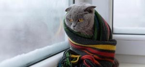 5 лайфхаков, которые помогут сэкономить на отоплении зимой: они очень просты