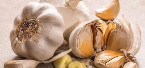 Что можно сеять на рассаду в январе: садоводы назвали 5 овощей