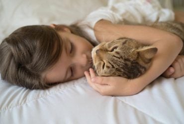 Ветеринари назвали 11 милих ознак того, що кішка вважає вас своєю сім'єю