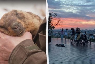 Могут быть морозы и снежок: сурок Тимка спрогнозировал, когда в Украине наступит весна