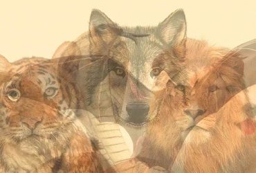 Що першим ви бачите на картинці: психологічний тест на приховане я