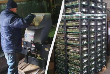 В Україну завезли небезпечні кабачки: звідки приїхали овочі