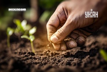 Можно ли уже высаживать семена в землю или лучше подождать весны: нюансы теплой зимы