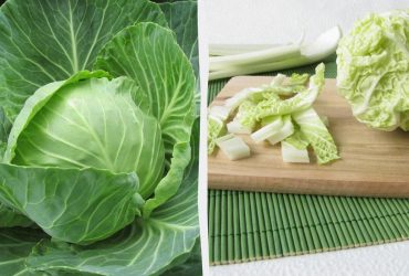 Найкращий спосіб приготувати капусту, щоб зробити її зіркою: так ви ще не пробували