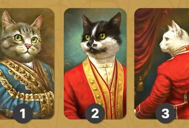 Какой кот вам нравится больше всего: занятный тест на лидерские качества