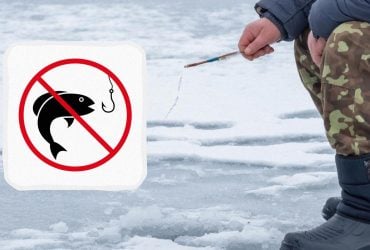 Можно влететь в копеечку: когда действует запрет на рыбалку в Украине в 2025 году