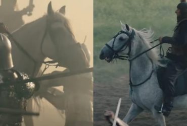 Конь, которого немцы не смогли убить: биолог поведал историю о легенде Первой мировой