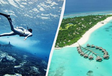 Названы лучшие места в мире для тех, кто хочет научиться дайвингу