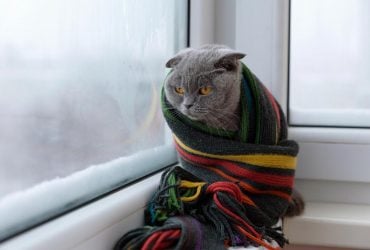 Одевайтесь теплее, потому что очень холодно: в Украину мчится похолодание из Арктики