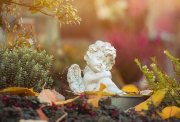 Число ангела: что означает день недели, в который вы родились