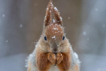 На заході потепління, а на сході сніг: сьогодні погода в Україні зміниться (карта)