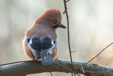 10 березня в Україні стане трохи свіжіше (карта)