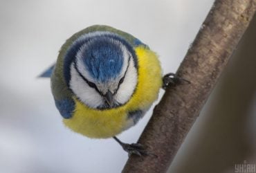 Аномальный холод уже пройден: в Украину мчится долгожданное потепление на 5-7 градусов