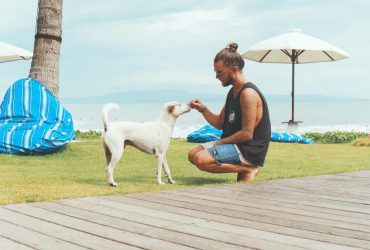 Недружелюбный жест: дрессировщица объяснила, почему не стоит давать обнюхивать руку собаке