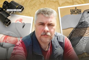 Через війну деякі червонокнижні птахи зникають з України - переселяються до РФ, бо там спокійніше, ніж на лінії фронту, - орнітолог Олександр Пономаренко