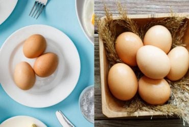 Як довго можна зберігати яйця в холодильнику: точна відповідь