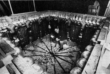 Вселенная 25: скандальный эксперимент, в котором утопия обернулась апокалипсисом