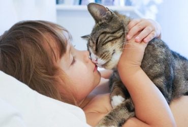 Как кошки выбирают любимого человека: эксперт назвал 4 главных критерия