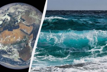 Що станеться, якщо зникне все життя в океані: вчені зробили моторошний прогноз