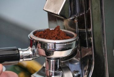 Какие растения любят кофейную гущу: опытные садоводы раскрыли важные нюансы