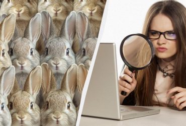 Кожен бачить кролів, і тільки одиниці побачать кота за 8 секунд: дуже складна головоломка