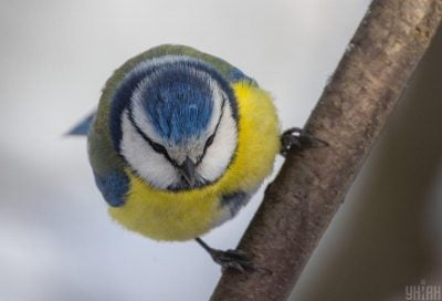 Аномальный холод уже пройден: в Украину мчится долгожданное потепление на 5-7 градусов