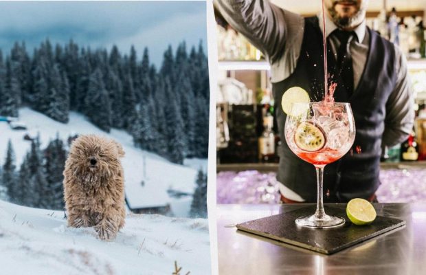 Не можна нічого позичати - залишитеся без гроша: що заборонено у свято 6 лютого