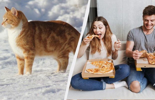 Що вважається великим гріхом сьогодні: головна заборона у свято 9 лютого 2025