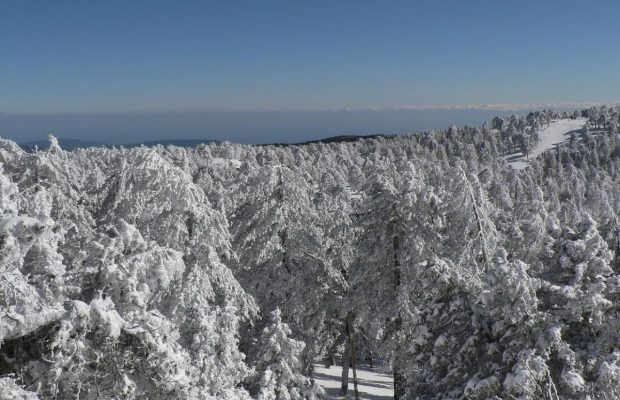 Зимова країна чудес: названо прекрасний острів у Європі, де можна покататися на лижах