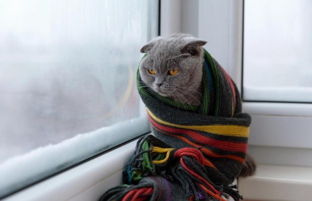 Чим опалювати квартиру без газу і світла: як зробити обігрівач своїми руками