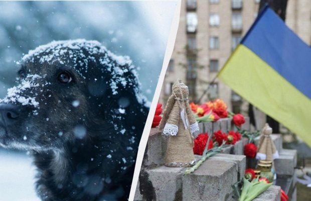 Одразу два важливих свята відзначають в Україні: що зробити 20 лютого 2025