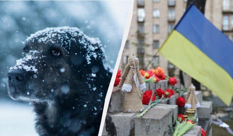 Что сегодня за праздник / коллаж УНИАН, фото pexels, УНИАН (Виктор Ковальчук) Что сегодня за праздник / коллаж УНИАН, фото pexels, УНИАН (Виктор Ковальчук)