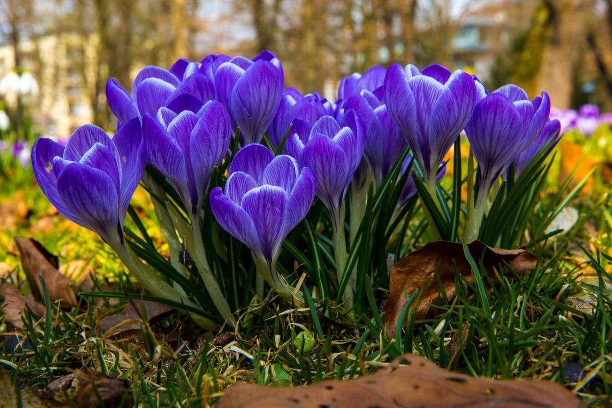 Что за праздник сегодня / фото Pixabay Что за праздник сегодня / фото Pixabay