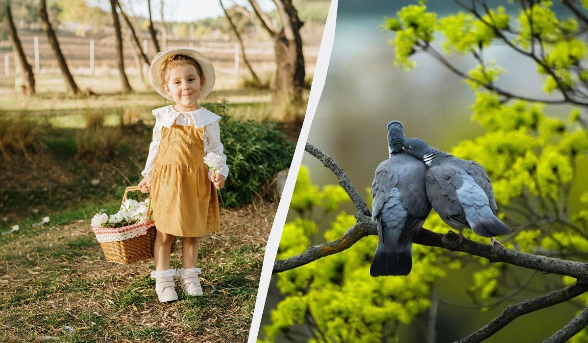Що сьогодні за свято / колаж УНІАН, фото pexels, pixabay Що сьогодні за свято / колаж УНІАН, фото pexels, pixabay