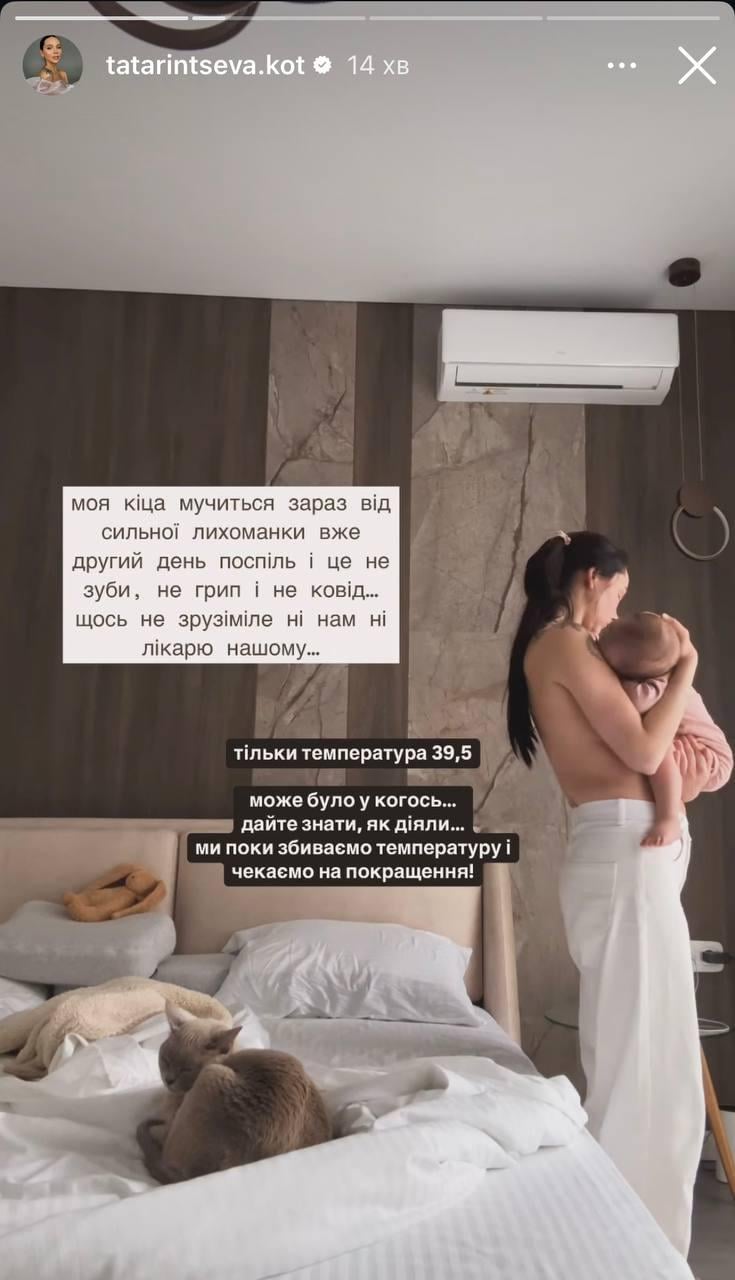 Скріншот сторіз Наталії Татарінцевої Скріншот сторіз Наталії Татарінцевої