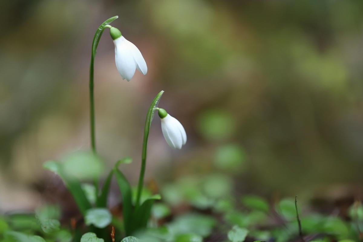 Прикмети на сьогодні