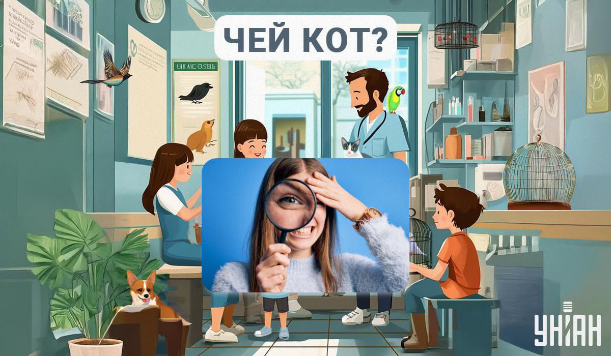 Попробуйте найти, кто владелец кота / коллаж УНИАН, фото ua.depositphotos.com Попробуйте найти, кто владелец кота / коллаж УНИАН, фото ua.depositphotos.com