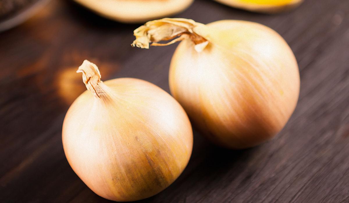 / фото freepik.com / фото freepik.com