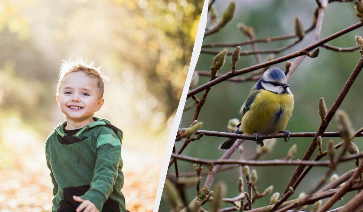 Що сьогодні за свято / колаж УНІАН, фото pexels, УНІАН Що сьогодні за свято / колаж УНІАН, фото pexels, УНІАН